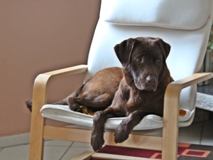 Cora