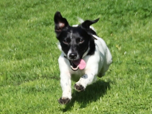 Lennox2