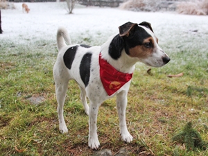 Oskar2