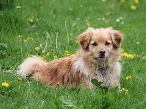 Sammy2
